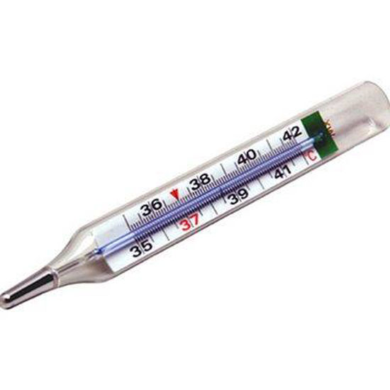 Geratherm Classic XL analogni telesni termometer brez živega srebra s povečavo, 1 termometer