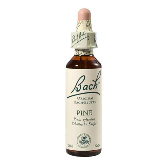 Bach Original bor kapljice, 20 mL
