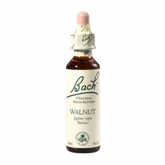 Bach Oreh Walnut esenca kapljice, 20 mL