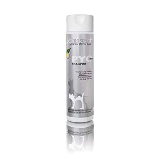 PyoClean šampon za pse in mačke, 200 mL