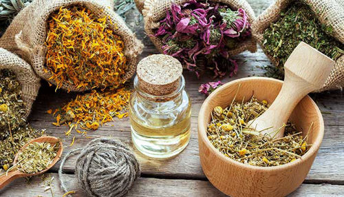 Soria Natural in kaj je to Fitoterapija!