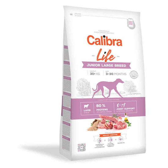 Calibra Life Junior Large jagnje, 12 kg