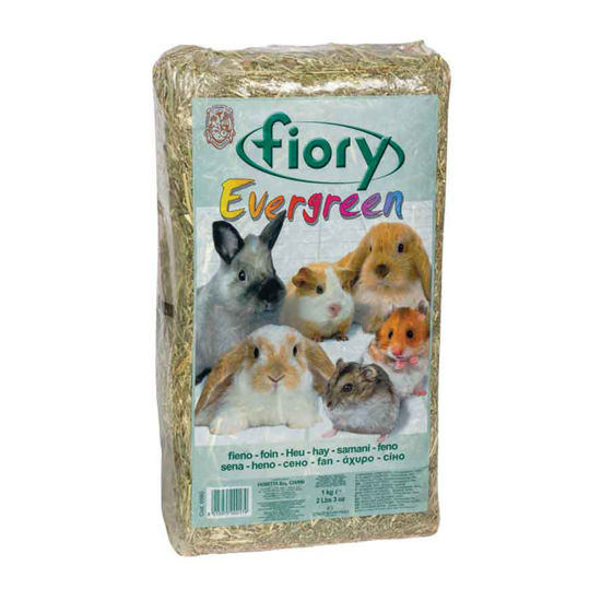 Fiory Evergreen seno, 30 L