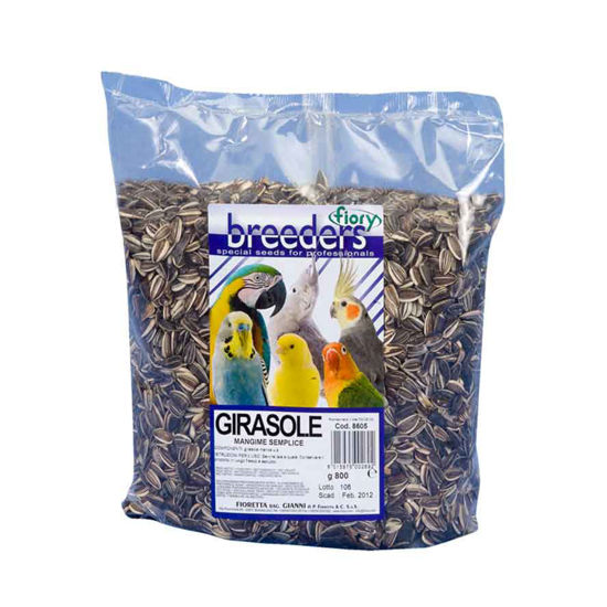 Fiory Breeders sončnična semena, 500 g ali 15 kg