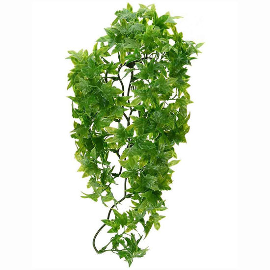 Zoo Med Natural Bush rastlina, različne velikosti, 1 rastlina
