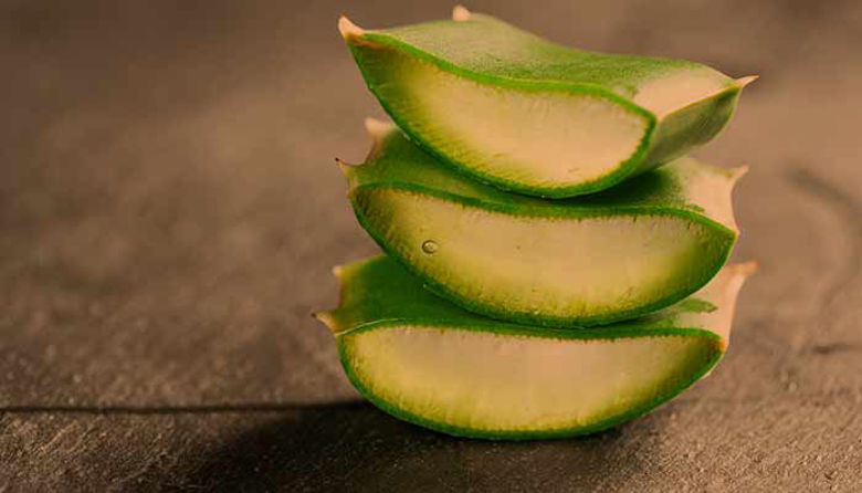 Picture of Aloe vera uporaba