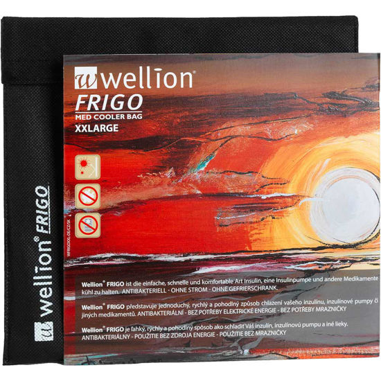 Wellion Frigo XXL hladilna torbica 22 x 19 cm, 1 torbica