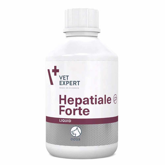 Hepatiale Forte Liquid za pse - jetrna obolenja, 250 mL