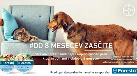 foresto ovratnica